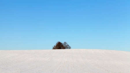 snow photographed in the winter season, which appeared after a snowfall. close-up,の写真素材
