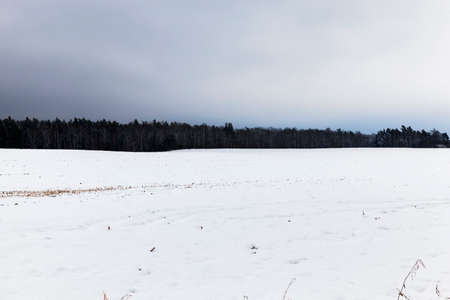 snow photographed in the winter season, which appeared after a snowfall. close-up,の写真素材
