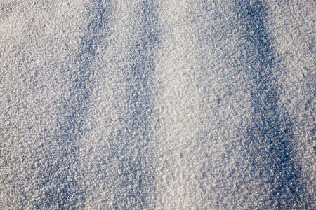 snow photographed in the winter season, which appeared after a snowfall. close-up,の写真素材