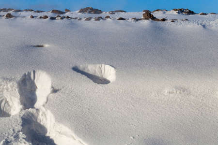 snowdrifts in the winter season on which traces of the past person are visible. Blue sky and close-up photosの写真素材