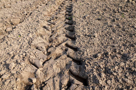 traces from wheel plowed agricultural field remaining after the special equipmentの写真素材