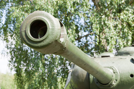 old cannon barrel