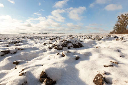plowed field under snowの写真素材