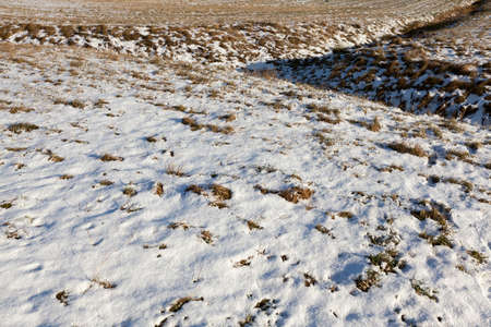 snow photographed in the winter season, which appeared after a snowfall. close-up,の写真素材