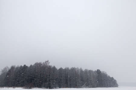 snow photographed in the winter season, which appeared after a snowfall. close-up,の写真素材