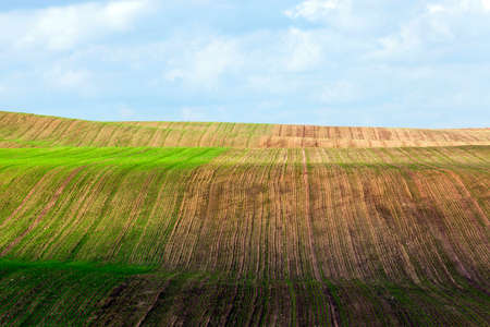 field with grassの写真素材