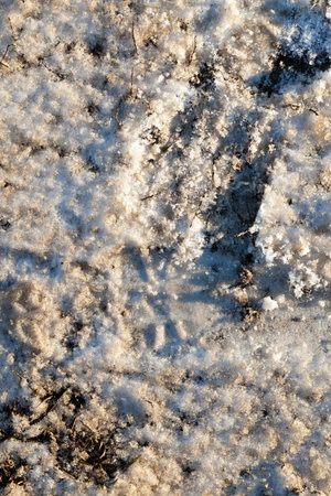 dirty snow