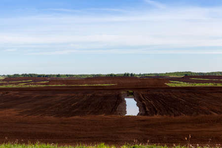 Career in the extraction of peat used in various fields of activity, the summer landscape from an industrial siteの写真素材