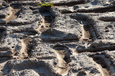 tractor tread Wheel marks on dried up soil, close-up on the territory of the agricultural management
