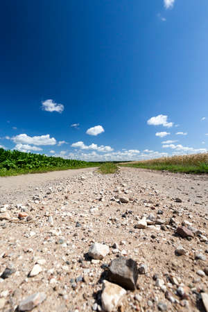 country road through the field, cobblestones in the sand, sunny summer landscapeの写真素材