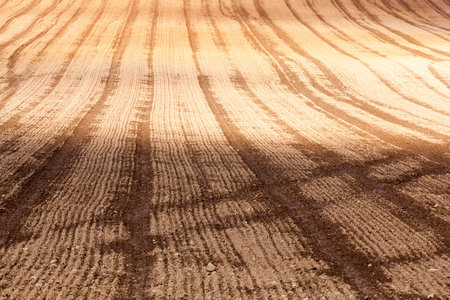 plowed soil, part of the field is lit by the sun, part in the shade of clouds, close-up