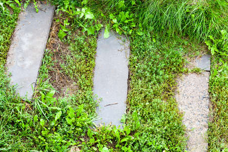 old concrete steps overgrown with green grass, close-up view from aboveの写真素材