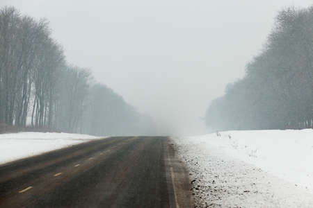 falling on the road, the tree and the ground snow during a heavy snowfall, a winter landscape in a blizzardの写真素材