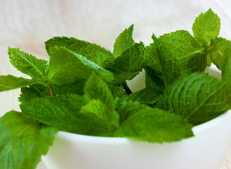 green aromatic mint in a white deep plate, photo closeup of a plant. used in cooking