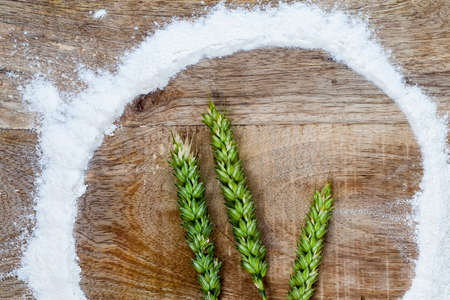 three green wheat ears lying on a wooden cutting board, a circle of white flour was poured around the plants, closeupの写真素材
