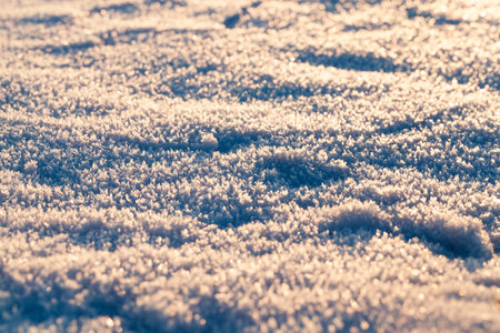beautiful ice crystals formed on a snowdrift in winter, the surface of a snowdrift is well...