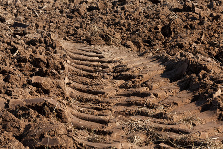 ribbed traces of a tractor on plowed soil of the brown color of an agricultural field, a closeup of...