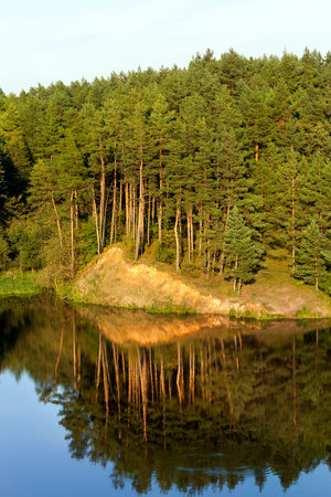 growing on a hill near a river high pine trees and yellow sand reflected on the surface of the water, a landscape with a blue sky in early autumnの写真素材