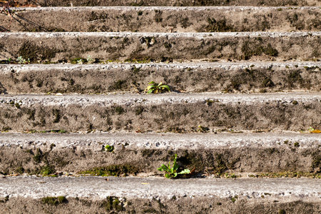 old destroyed concrete and stone steps of the stairs, on which the grass grows, closeup