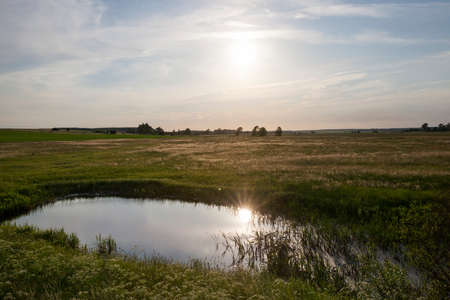 a small lake and drying grass during the sunset in the autumn season, cloudy weatherの写真素材