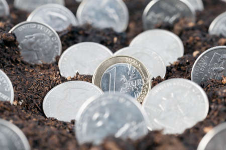one euro and American coins growing from the soil on the field, closeupの写真素材