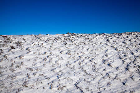 small hill with grass covered with fresh snow after a snowfall in winter, against a blue sky background closeupの写真素材