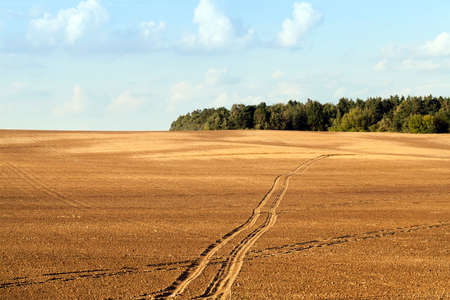 plowed field, on which the transport passed and left its tracks, autumn landscapeの写真素材