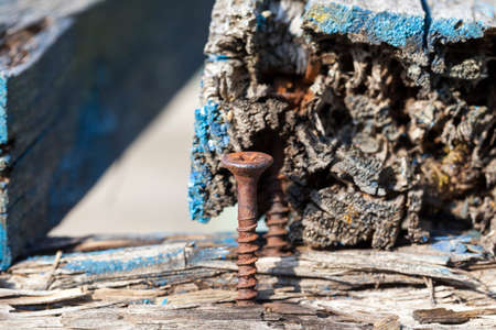 planks and rusty nails from the old broken-up wooden bench placed in the park. In the wood there are traces of blue paint. Photo close-up, small depth of field.の写真素材