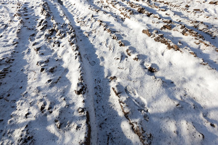 plowed agricultural field on which snow lies. Photo taken close-up, visible dark earth