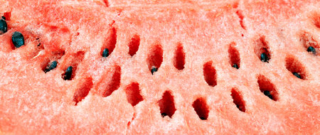 cut red juicy watermelon with pits, protruding from bones, closeup