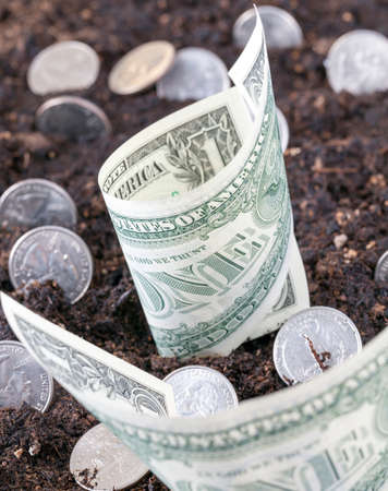 the concept of the growth of American coins and cash banknotes from the soil of the agricultural field, a closeup idea of the growth of income from agricultureの写真素材