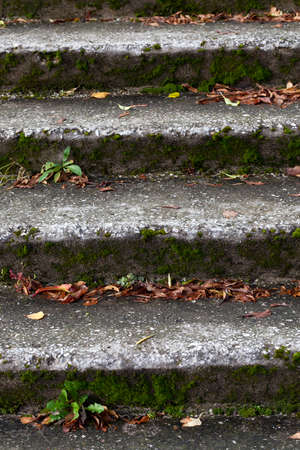 large steps of stone and concrete in the forest, part of the abandoned building, some steps of the staircase are partially destroyedの写真素材