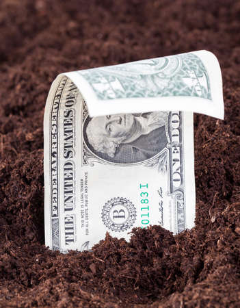 protruding or growing from the soil one US dollar on the field for agricultural crops, a European territory with foreign moneyの写真素材