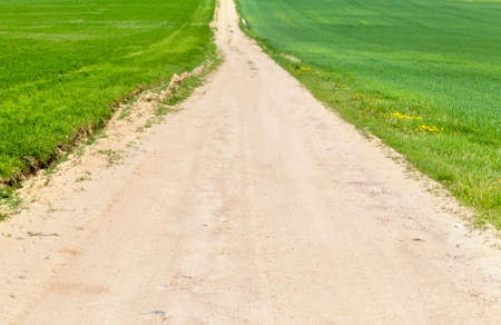 spring landscape on an agricultural field on which a road for cars is laid,の写真素材