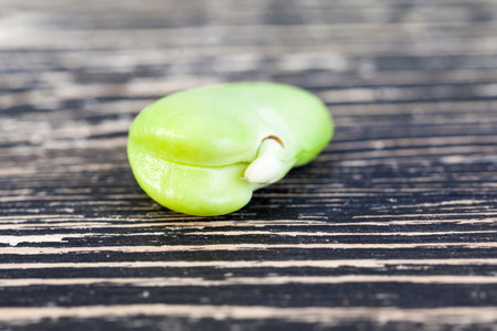 Peeled from protective peel one fruit of a bean with a new embryo and a root