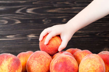 a large number of fresh soft peaches on a linen tablecloth, close-up, one of the peaches picked up by a childの写真素材