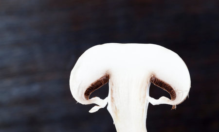 cut into half and pieces of white champignon on a black background, closeupの写真素材