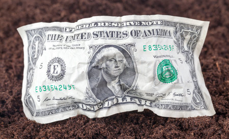One crumpled American dollar lies on dirty soil on the field, closeup