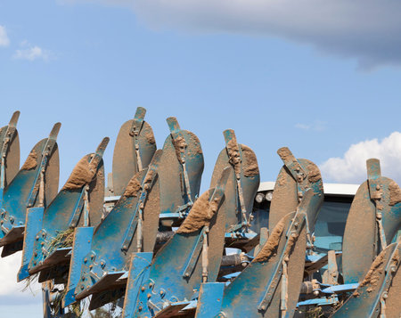 covered with dirt and dried up blue plow during the cultivation of soil on the field, closeup