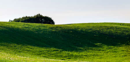 landscape at the sunset of the hilly landscape with green grass and treesの写真素材