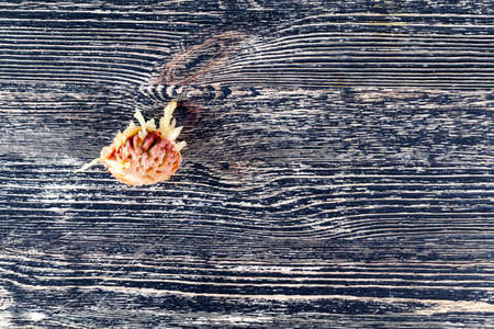 a stone from the eaten peach, lies on a black wooden table, closeupの写真素材