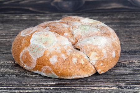 loaf of bread which, due to moisture, was covered with fungus and mold, a dangerous and poisonous...