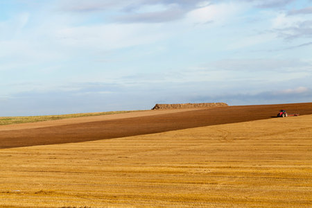 plow arable fields after harvesting wheat or other cereals by tractor, in the background are stacks...