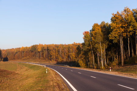 asphalt road was photographed from a hill in the autumn season
