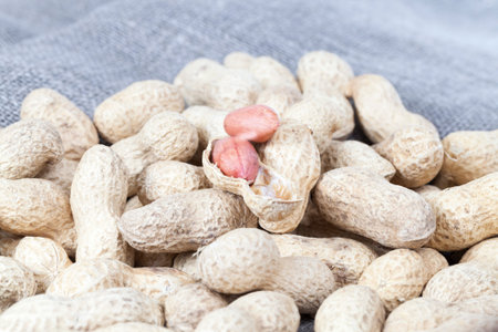 a large amount of peanuts in the shell during peeling from the shell and cooking food using nuts