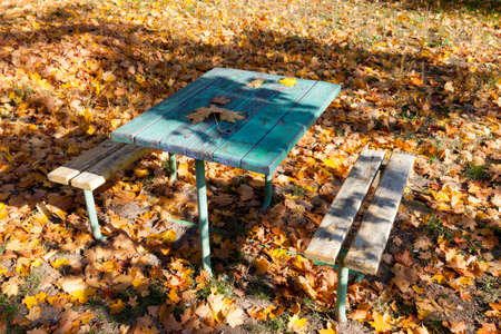 Autumn bench table parkの写真素材
