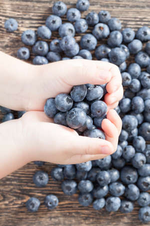 Blueberry berries lying in the hands of a child while preparing a meal of sweet dessertsの写真素材