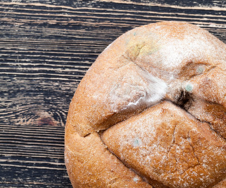 moldy, large round loaf of bread and spoiled food are life-threatening, molds of different colors