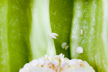 Cut half the green pepper lying during cooking