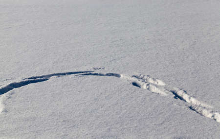 Traces of the past man on white snow with large snowdrifts, walking alone in the fieldの写真素材